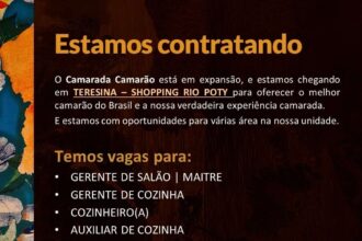 Camarada Camarão está com diversas oportunidades de emprego em Teresina